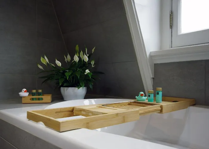 Naeldwyk-torenburg Отель 3*